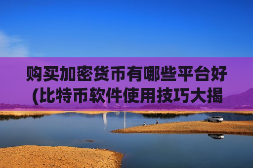 购买加密货币有哪些平台好(比特币软件使用技巧大揭秘)-第1张图片-币圈网