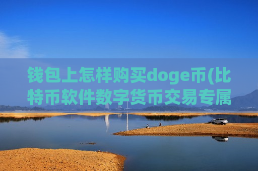 钱包上怎样购买doge币(比特币软件数字货币交易专属)-第1张图片-币圈网 钱包上怎样购买doge币(比特币软件数字货币交易专属)-第1张图片-币圈网