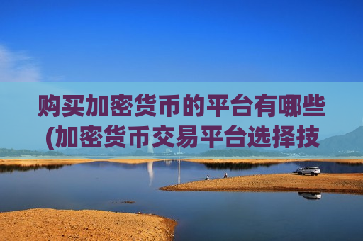 购买加密货币的平台有哪些(加密货币交易平台选择技巧)-第1张图片-币圈网 购买加密货币的平台有哪些(加密货币交易平台选择技巧)-第1张图片-币圈网