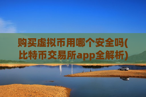 购买虚拟币用哪个安全吗(比特币交易所app全解析)-第1张图片-币圈网