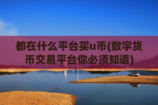 都在什么平台买u币(数字货币交易平台你必须知道)-第1张图片-币圈网