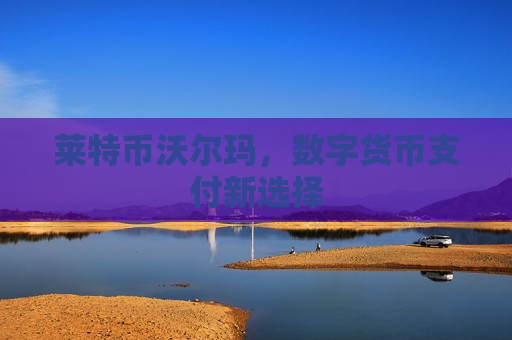 莱特币沃尔玛，数字货币支付新选择-第1张图片-币圈网