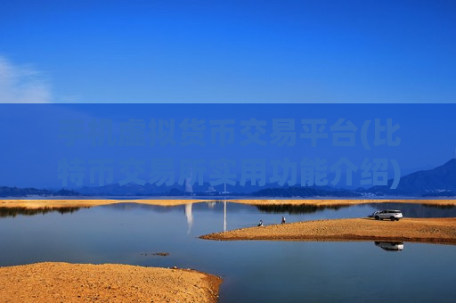 手机虚拟货币交易平台(比特币交易所实用功能介绍)-第1张图片-币圈网