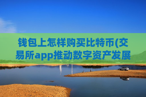 钱包上怎样购买比特币(交易所app推动数字资产发展)-第1张图片-币圈网 钱包上怎样购买比特币(交易所app推动数字资产发展)-第1张图片-币圈网