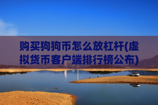 购买狗狗币怎么放杠杆(虚拟货币客户端排行榜公布)-第1张图片-币圈网 购买狗狗币怎么放杠杆(虚拟货币客户端排行榜公布)-第1张图片-币圈网