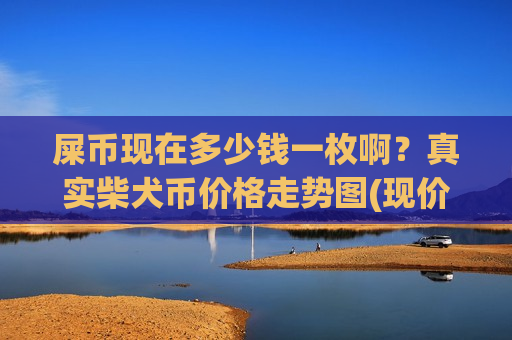 屎币现在多少钱一枚啊?真实柴犬币价格走势图(现价0.00020927元)-第1张图片-币圈网 屎币现在多少钱一枚啊?真实柴犬币价格走势图(现价0.00020927元)-第1张图片-币圈网