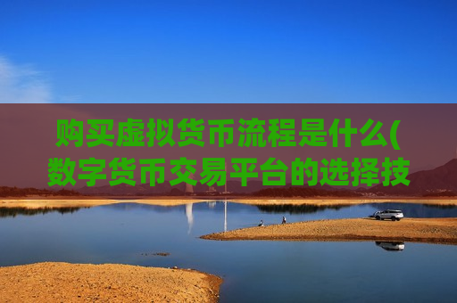 购买虚拟货币流程是什么(数字货币交易平台的选择技巧)-第1张图片-币圈网 购买虚拟货币流程是什么(数字货币交易平台的选择技巧)-第1张图片-币圈网