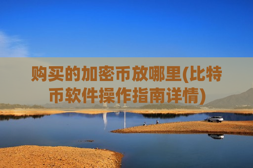 购买的加密币放哪里(比特币软件操作指南详情)-第1张图片-币圈网
