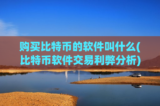 购买比特币的软件叫什么(比特币软件交易利弊分析)-第1张图片-币圈网