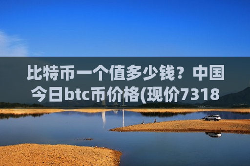 比特币一个值多少钱？中国今日btc币价格(现价731820.11元)-第1张图片-币圈网
