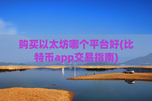 购买以太坊哪个平台好(比特币app交易指南)-第1张图片-币圈网 购买以太坊哪个平台好(比特币app交易指南)-第1张图片-币圈网