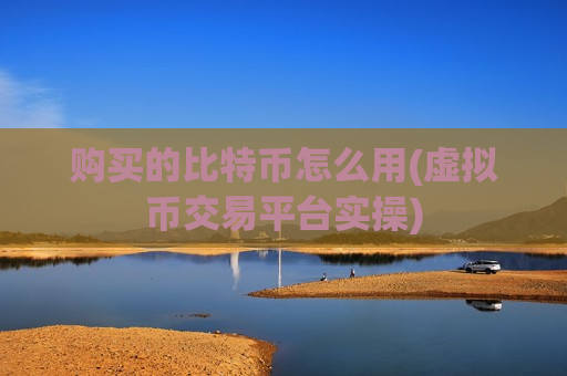 购买的比特币怎么用(虚拟币交易平台实操)-第1张图片-币圈网 购买的比特币怎么用(虚拟币交易平台实操)-第1张图片-币圈网