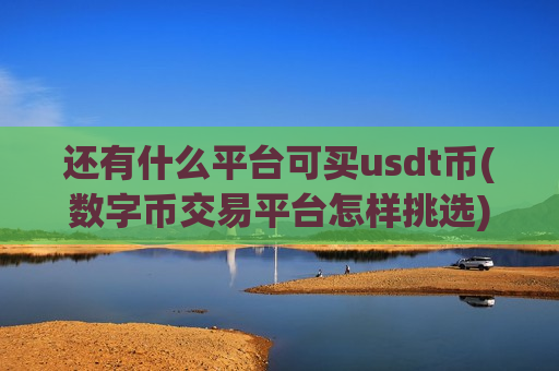 还有什么平台可买usdt币(数字币交易平台怎样挑选)-第1张图片-币圈网 还有什么平台可买usdt币(数字币交易平台怎样挑选)-第1张图片-币圈网