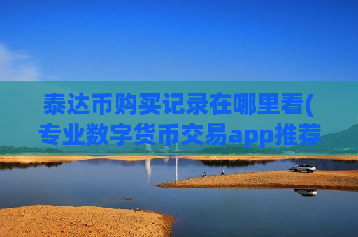 泰达币购买记录在哪里看(专业数字货币交易app推荐)