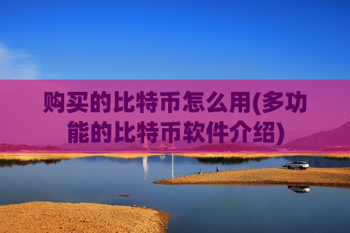 购买的比特币怎么用(多功能的比特币软件介绍)-第1张图片-币圈网 购买的比特币怎么用(多功能的比特币软件介绍)-第1张图片-币圈网