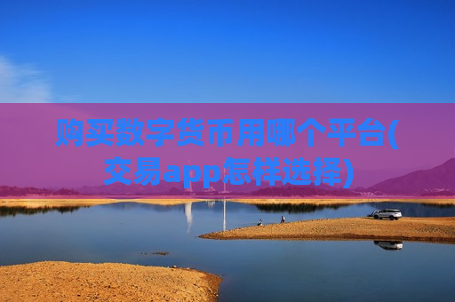 购买数字货币用哪个平台(交易app怎样选择)-第1张图片-币圈网 购买数字货币用哪个平台(交易app怎样选择)-第1张图片-币圈网