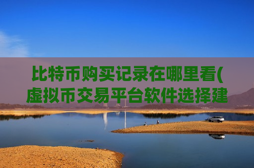 比特币购买记录在哪里看(虚拟币交易平台软件选择建议)-第1张图片-币圈网 比特币购买记录在哪里看(虚拟币交易平台软件选择建议)-第1张图片-币圈网