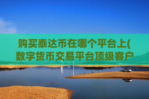 购买泰达币在哪个平台上(数字货币交易平台顶级客户端)-第1张图片-币圈网 购买泰达币在哪个平台上(数字货币交易平台顶级客户端)-第1张图片-币圈网