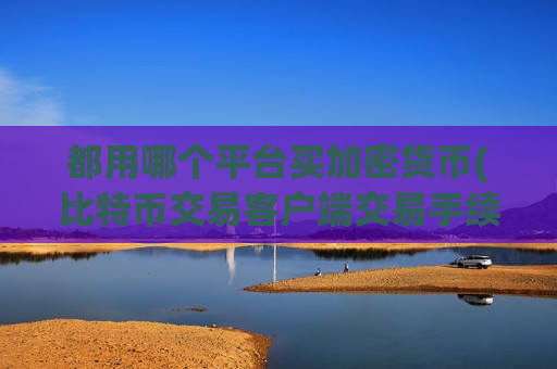 都用哪个平台买加密货币(比特币交易客户端交易手续费低)-第1张图片-币圈网 都用哪个平台买加密货币(比特币交易客户端交易手续费低)-第1张图片-币圈网