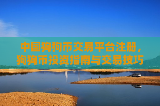 中国狗狗币交易平台注册，狗狗币投资指南与交易技巧-第1张图片-币圈网