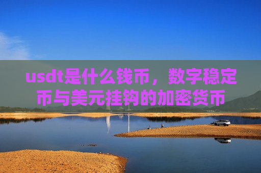 usdt是什么钱币，数字稳定币与美元挂钩的加密货币-第1张图片-币圈网