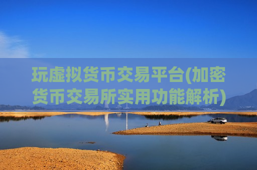 玩虚拟货币交易平台(加密货币交易所实用功能解析)-第1张图片-币圈网