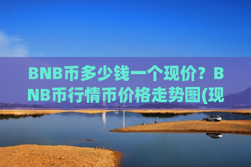 BNB币多少钱一个现价？BNB币行情币价格走势图(现价5052.87元)-第1张图片-币圈网