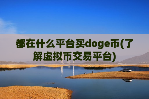 都在什么平台买doge币(了解虚拟币交易平台)-第1张图片-币圈网