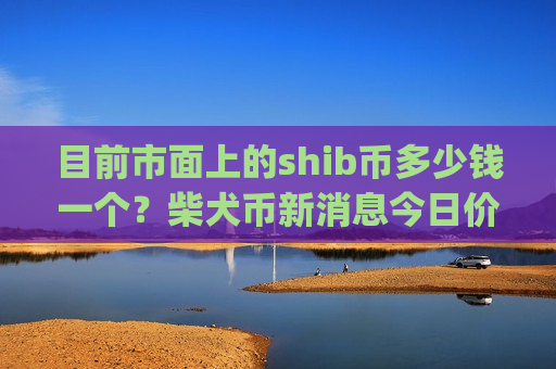 目前市面上的shib币多少钱一个？柴犬币新消息今日价格(现价0.00023107元)