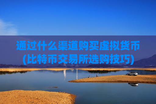 通过什么渠道购买虚拟货币(比特币交易所选购技巧)-第1张图片-币圈网