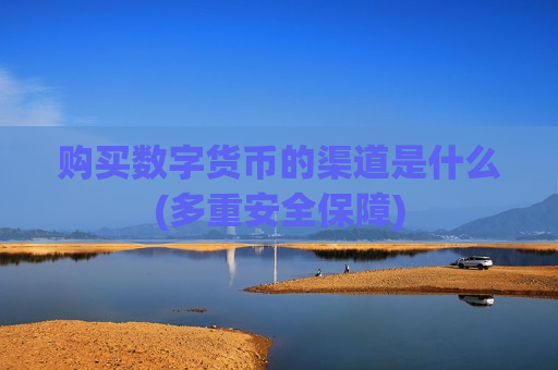 购买数字货币的渠道是什么(多重安全保障)-第1张图片-币圈网