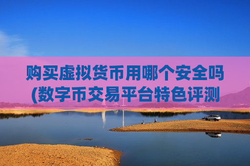 购买虚拟货币用哪个安全吗(数字币交易平台特色评测)-第1张图片-币圈网