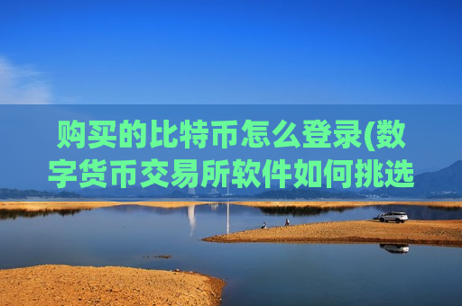 购买的比特币怎么登录(数字货币交易所软件如何挑选)-第1张图片-币圈网 购买的比特币怎么登录(数字货币交易所软件如何挑选)-第1张图片-币圈网