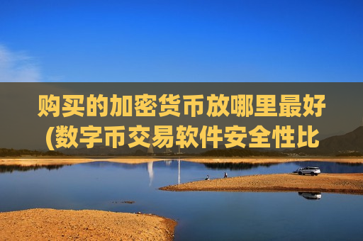 购买的加密货币放哪里最好(数字币交易软件安全性比较)-第1张图片-币圈网