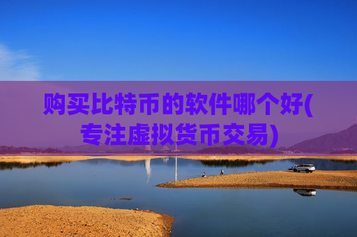 购买比特币的软件哪个好(专注虚拟货币交易)-第1张图片-币圈网