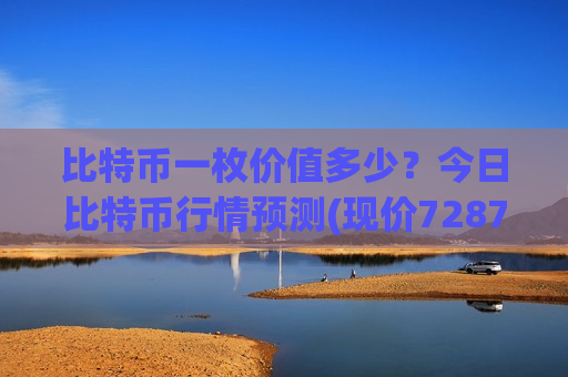 比特币一枚价值多少？今日比特币行情预测(现价728790.68元)-第1张图片-币圈网