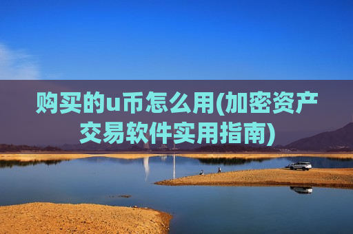 购买的u币怎么用(加密资产交易软件实用指南)-第1张图片-币圈网
