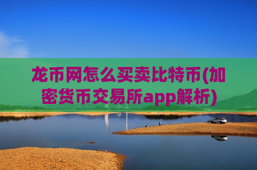 龙币网怎么买卖比特币(加密货币交易所app解析)-第1张图片-币圈网 龙币网怎么买卖比特币(加密货币交易所app解析)-第1张图片-币圈网