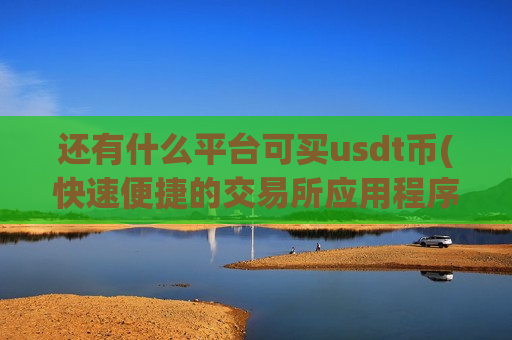 还有什么平台可买usdt币(快速便捷的交易所应用程序)-第1张图片-币圈网