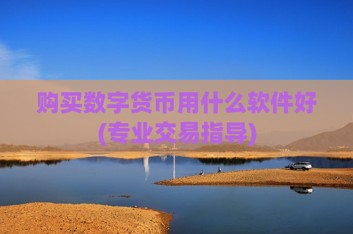 购买数字货币用什么软件好(专业交易指导)-第1张图片-币圈网 购买数字货币用什么软件好(专业交易指导)-第1张图片-币圈网