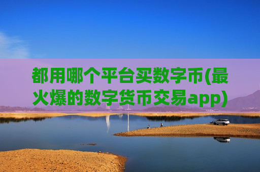 都用哪个平台买数字币(最火爆的数字货币交易app)-第1张图片-币圈网 都用哪个平台买数字币(最火爆的数字货币交易app)-第1张图片-币圈网