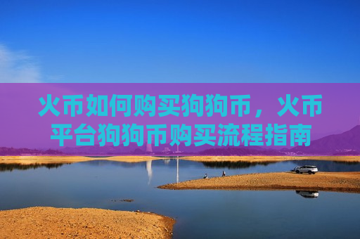火币如何购买狗狗币，火币平台狗狗币购买流程指南-第1张图片-币圈网