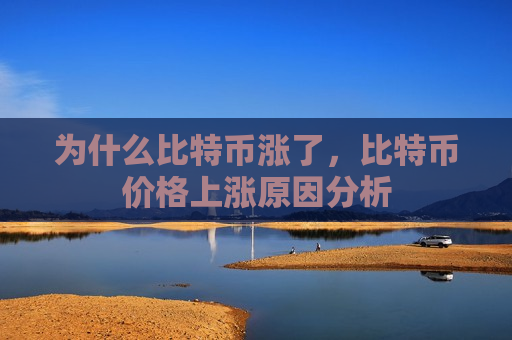 为什么比特币涨了,比特币价格上涨原因分析-第1张图片-币圈网 为什么比特币涨了,比特币价格上涨原因分析-第1张图片-币圈网