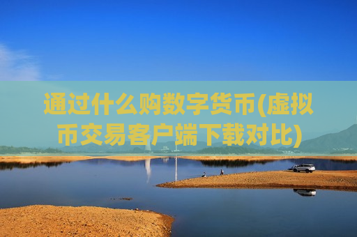 通过什么购数字货币(虚拟币交易客户端下载对比)-第1张图片-币圈网