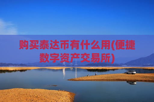 购买泰达币有什么用(便捷数字资产交易所)-第1张图片-币圈网 购买泰达币有什么用(便捷数字资产交易所)-第1张图片-币圈网