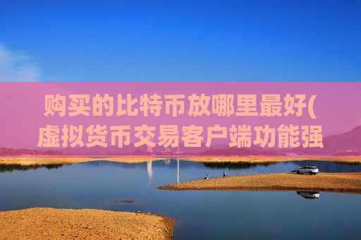购买的比特币放哪里最好(虚拟货币交易客户端功能强大)-第1张图片-币圈网