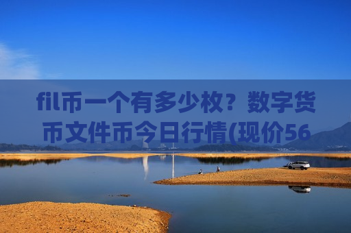 fil币一个有多少枚?数字货币文件币今日行情(现价56.7463元)-第1张图片-币圈网 fil币一个有多少枚?数字货币文件币今日行情(现价56.7463元)-第1张图片-币圈网