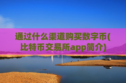 通过什么渠道购买数字币(比特币交易所app简介)-第1张图片-币圈网 通过什么渠道购买数字币(比特币交易所app简介)-第1张图片-币圈网