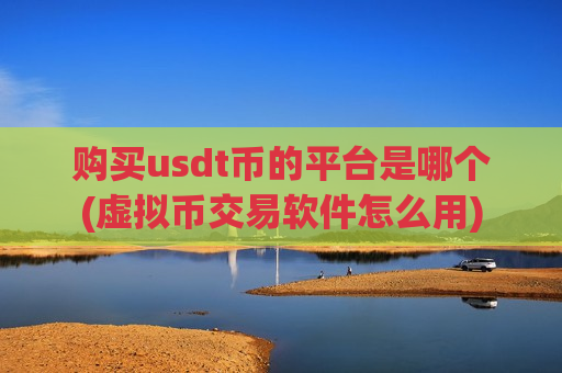 购买usdt币的平台是哪个(虚拟币交易软件怎么用)-第1张图片-币圈网 购买usdt币的平台是哪个(虚拟币交易软件怎么用)-第1张图片-币圈网