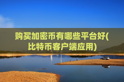 购买加密币有哪些平台好(比特币客户端应用)-第1张图片-币圈网 购买加密币有哪些平台好(比特币客户端应用)-第1张图片-币圈网